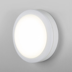 Пылевлагозащищенный светодиодный светильник LTB51 6500К белый