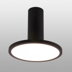 Накладной потолочный светодиодный светильник DLS029