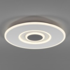 90219/1 / потолочный светильник / белый/ серый