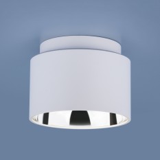 Накладной потолочный  светильник 1069 GX53 WH белый матовый